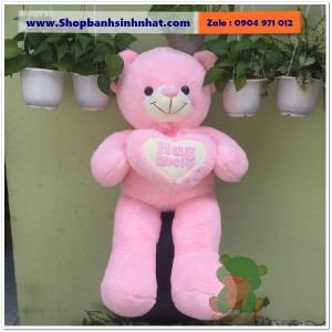 Gấu Bông Teddy Hàn Quốc - GAU65